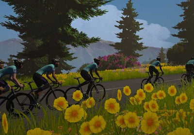 Image: Virtual Tour de France - Zwift